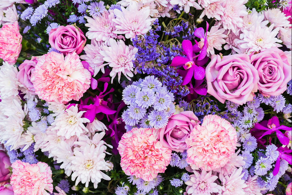 pink-purple-flowers